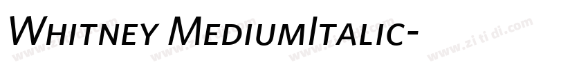 Whitney MediumItalic字体转换